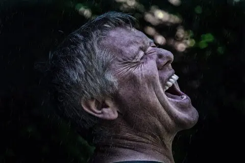 vsplesk-bogdanmichka.com