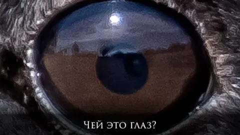 Угадай, чей глаз 1