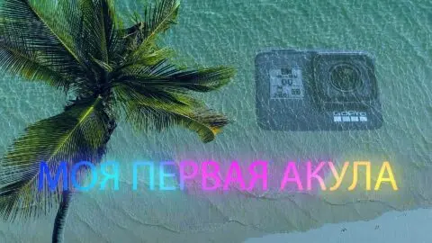 Моя первая акула